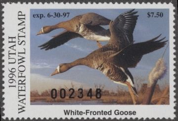 Picture of 1996 Utah Duck Stamp MNH VF