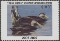 Scan of 2006 Virginia Duck Stamp MNH VF