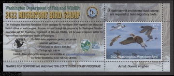 Scan of 2022 Washington Duck Stamp MNH VF