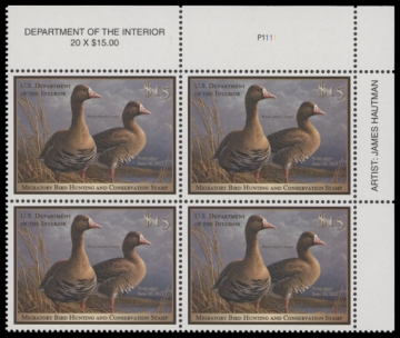 Scan of RW78 2011 Duck Stamp  MNH F-VF