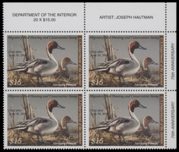 Scan of RW75 2008 Duck Stamp  MNH F-VF