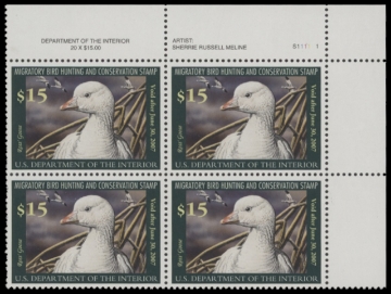 Scan of RW73 2006 Duck Stamp  MNH F-VF