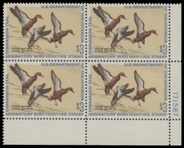 Scan of RW38 1971 Duck Stamp  MNH F-VF