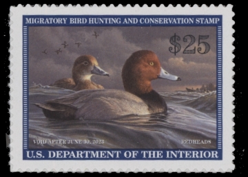 Picture of RW89 2022 Duck Stamp  MNH F-VF