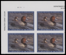 Scan of RW89 2022 Duck Stamp  MNH VF