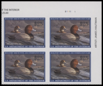 Scan of RW89 2022 Duck Stamp  MNH VF