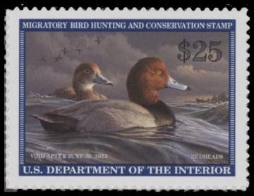 Picture of RW89 Federal Duck MNH VF