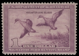 Scan of RW5 1938 Duck Stamp  MNH F-VF