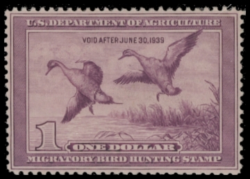 Scan of RW5 1938 Duck Stamp  MNH F-VF