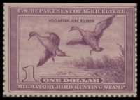 Scan of RW5 1938 Duck Stamp  Unsigned F-VF