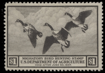 Scan of RW3 1936 Duck Stamp  Used F-VF