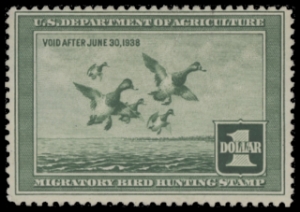 Scan of RW4 1937 Duck Stamp  Used F-VF