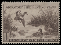 Scan of RW9 1942 Duck Stamp  Unsigned F-VF