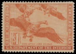 Scan of RW11 1944 Duck Stamp  MNH F-VF