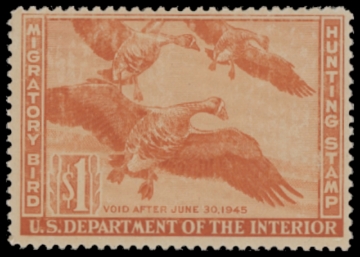 Scan of RW11 1944 Duck Stamp  MNH F-VF