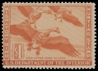 Scan of RW11 1944 Duck Stamp  MLH F-VF