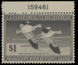 Scan of RW14 1947 Duck Stamp  MNH F-VF