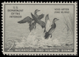 Scan of RW18 1951 Duck Stamp  MNH F-VF