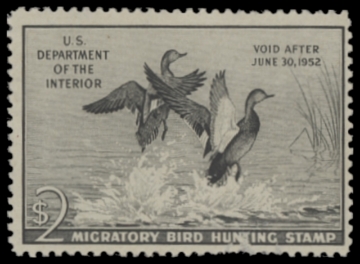 Scan of RW18 1951 Duck Stamp  Unsigned F-VF