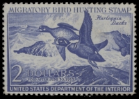 Scan of RW19 1952 Duck Stamp  MNH F-VF