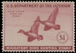 Scan of RW10 1943 Duck Stamp  MNH F-VF