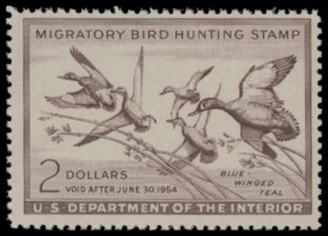 Scan of RW20 1953 Duck Stamp  MNH F-VF