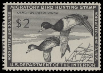 Scan of RW21 1954 Duck Stamp  MNH F-VF