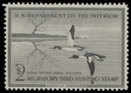 Scan of RW23 1956 Duck Stamp  MNH F-VF