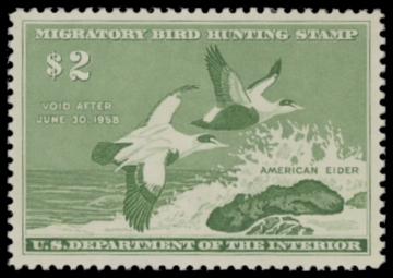 Scan of RW24 1957 Duck Stamp  MNH F-VF