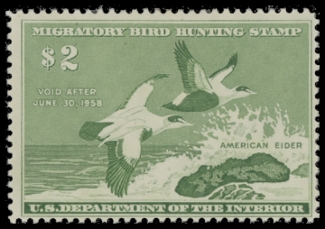 Picture of RW24 1957 Duck Stamp  MLH F-VF