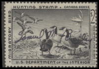 Scan of RW25 1958 Duck Stamp  Used F-VF
