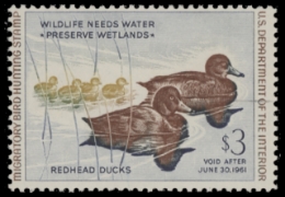 Scan of RW27 1960 Duck Stamp  MNH F-VF