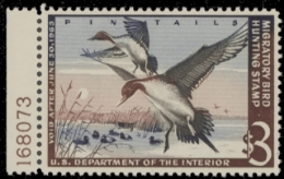 Scan of RW29 1962 Duck Stamp  MNH F-VF