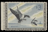 Scan of RW30 1963 Duck Stamp  MNH F-VF
