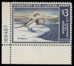 Scan of RW34 1967 Duck Stamp  MNH XF