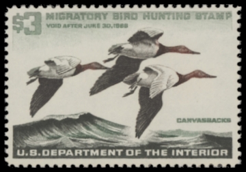 Scan of RW32 1965 Duck Stamp  MNH F-VF