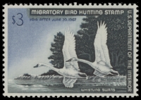 Scan of RW33 1966 Duck Stamp  MNH F-VF