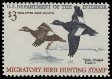 Scan of RW36 1969 Duck Stamp  MNH F-VF