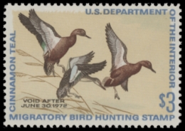 Scan of RW38 1971 Duck Stamp  MNH F-VF