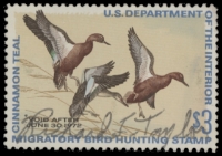 Scan of RW38 1971 Duck Stamp  Used F-VF