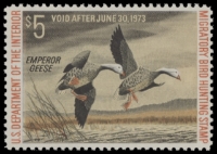 Scan of RW39 1972 Duck Stamp  MNH F-VF