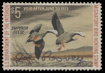 Scan of RW39 1972 Duck Stamp  Used F-VF