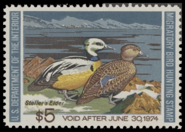 Scan of RW40 1973 Duck Stamp  MNH F-VF