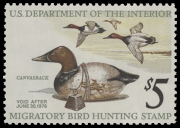 Scan of RW42 1975 Duck Stamp  MNH F-VF