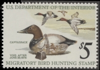 Scan of RW42 1975 Duck Stamp  MNH F-VF