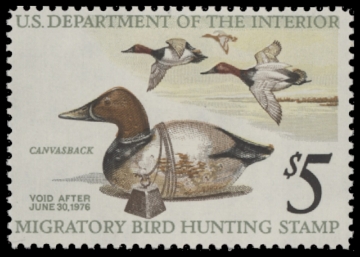 Scan of RW42 1975 Duck Stamp  MNH F-VF