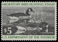 Scan of RW43 1976 Duck Stamp  MNH F-VF