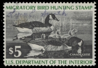 Scan of RW43 1976 Duck Stamp  Used F-VF