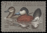 Scan of RW48 1981 Duck Stamp  MNH F-VF