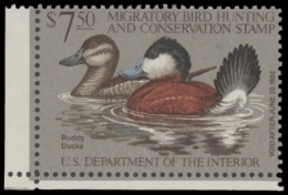 Scan of RW48 1981 Duck Stamp  MNH F-VF